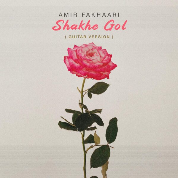 کاور آهنگ شاخه گل (ورژن گیتار) از امیر فخاری