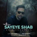 امیر همایون – سایه شب