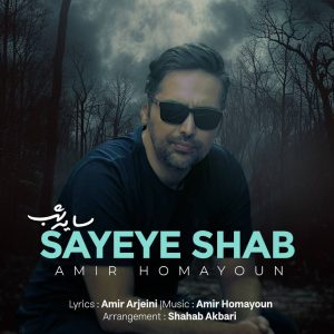 امیر همایون - سایه شب
