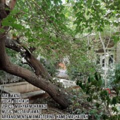 کاور اتل متل