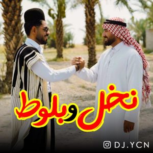 دانلود آهنگ دیجی یاسین - نخل و بلوط