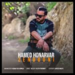 حامد هنرور – زندونی