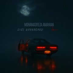 کاور دیگه برنگرد از محمدرضا امانیان