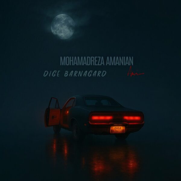 کاور آهنگ دیگه برنگرد از محمدرضا امانیان