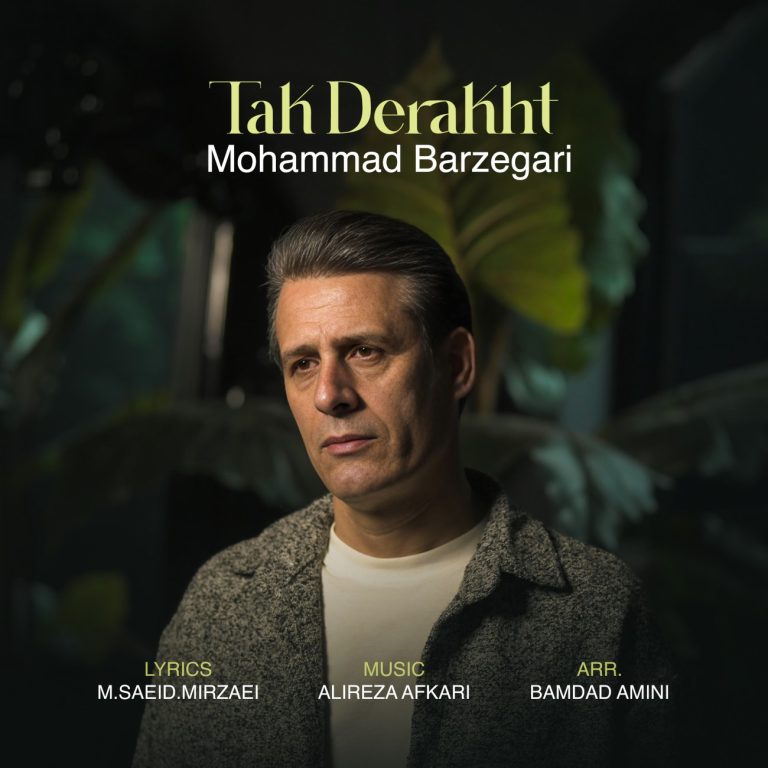 کاور آهنگ دانلود آهنگ جدید محمد برزگری به نام تک درخت