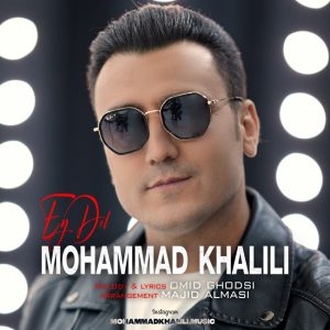 محمد خلیلی - ای دل
