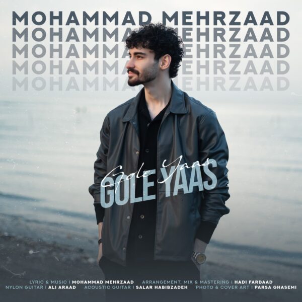 کاور آهنگ گل یاس از محمد مهرزاد
