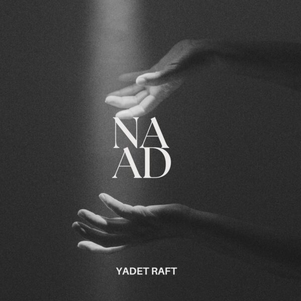 کاور آهنگ یادت رفت از ناد