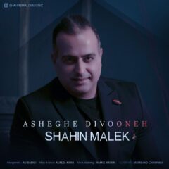 کاور عاشق دیوونه