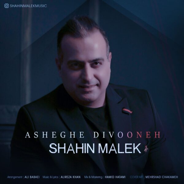 کاور آهنگ عاشق دیوونه از شاهین ملک