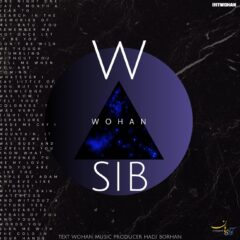 کاور سیب از وهان