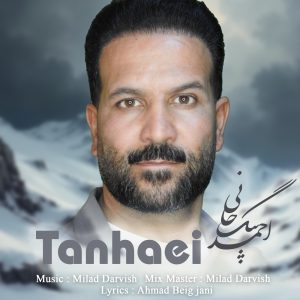 دانلود آهنگ احمد بیگجانی - تنهایی