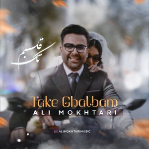 دانلود آهنگ علی مختاری - تک قلبم