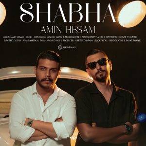 دانلود آهنگ شبها از امین حسام