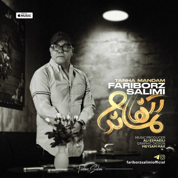 کاور آهنگ تنها ماندم از فریبرز سلیمى