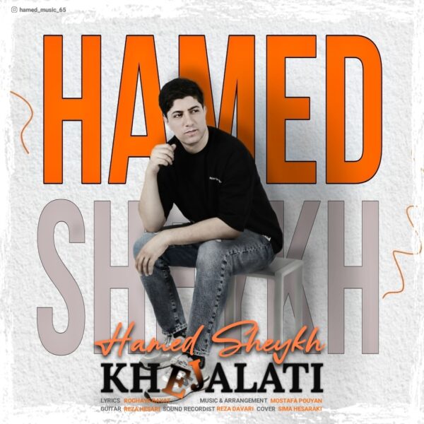 کاور آهنگ خجالتی از حامد شیخ