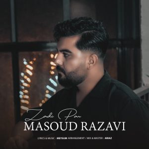 دانلود آهنگ زدی پر از مسعود رضوی