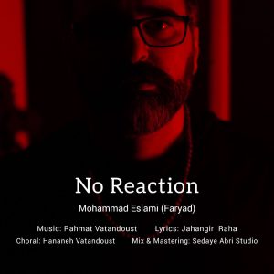 محمد اسلامی (فریاد) - بی واکنش