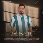 محمدرضا عشریه – داری میری