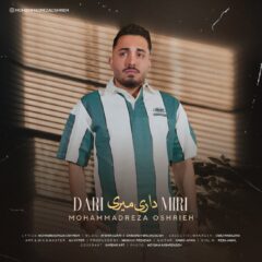 کاور داری میری از محمدرضا عشریه