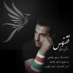 کاور ققنوس از مرتضی صادقی