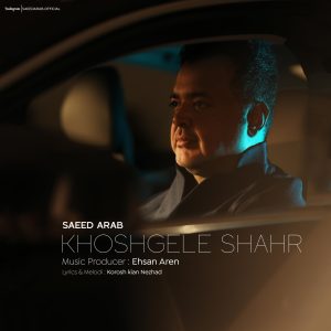 دانلود آهنگ سعید عرب - خوشگل شهر
