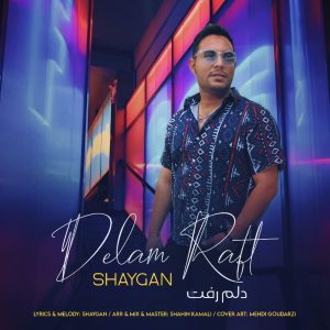 دانلود آهنگ شایگان - دلم رفت