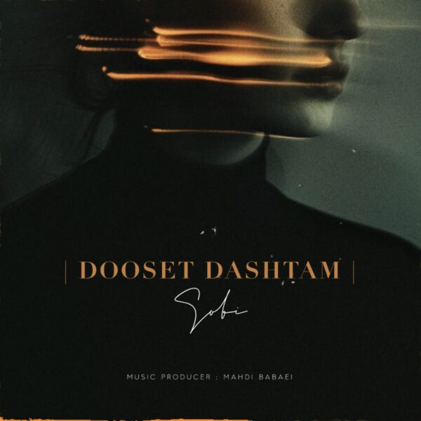 کاور آهنگ دوست داشتم از سبی