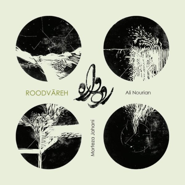 کاور آلبوم رودواره از علی نوریان