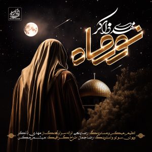 دانلود آهنگ نور ماه از مهدی ذاکر