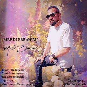 مهدی ابراهیمی - مثل بارون
