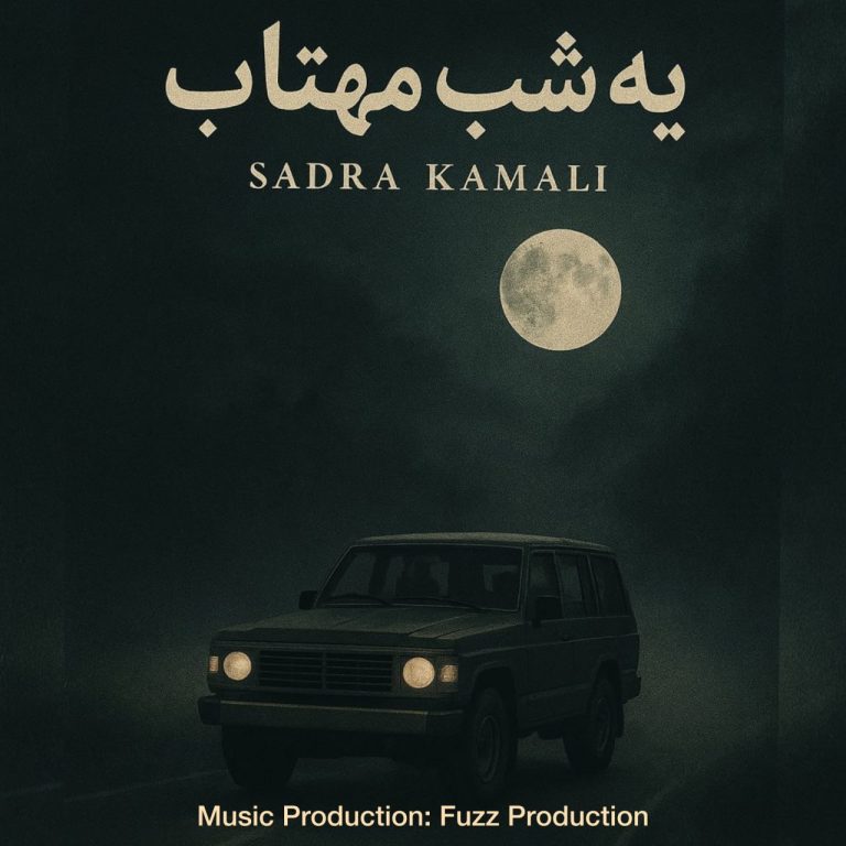 کاور آهنگ دانلود آهنگ جدید صدرا کمالی به نام یه شب مهتاب
