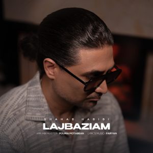 شهاب حبیبی - لجبازیام