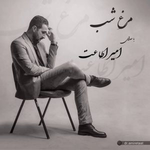 امیر اطاعت - مرغ شب