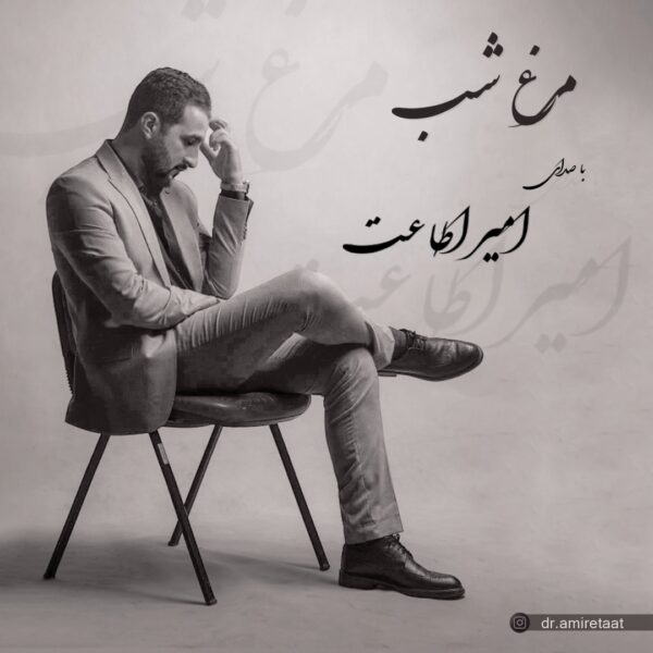 کاور آهنگ مرغ شب از امیر اطاعت