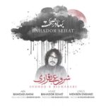 بهادر صحت – شروع بیقراری