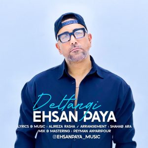 احسان پایا - دلتنگی