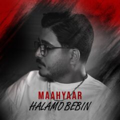 کاور حالمو ببین