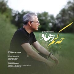 کاور چه کنم از رهاو