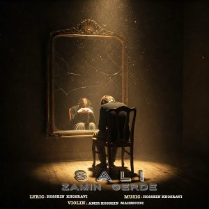 سالی - زمین گرده