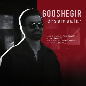دانلود آهنگ گوشه گیر از سام سالار
