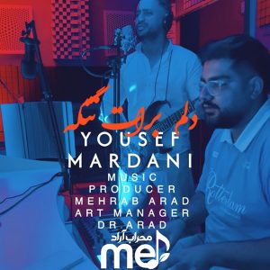 یوسف مردانی - دلم برات تنگه