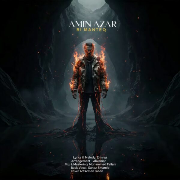 کاور آهنگ بی منطق از امین آذر