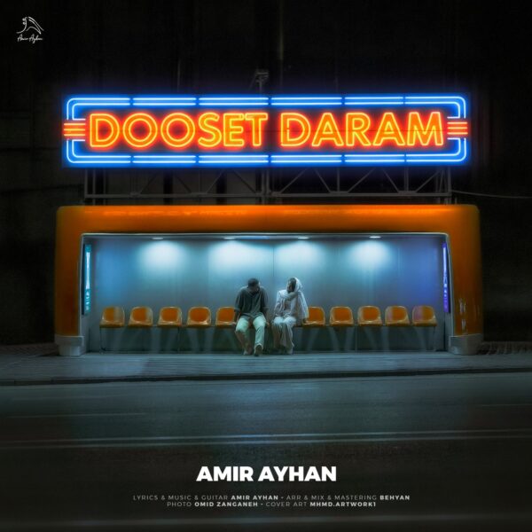 کاور آهنگ دوست دارم از امیر آیهان