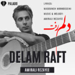 امیرعلی رضایی – دلم رفت