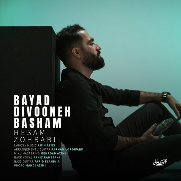 کاور آهنگ باید دیوونه باشم از حسام ظهرابی