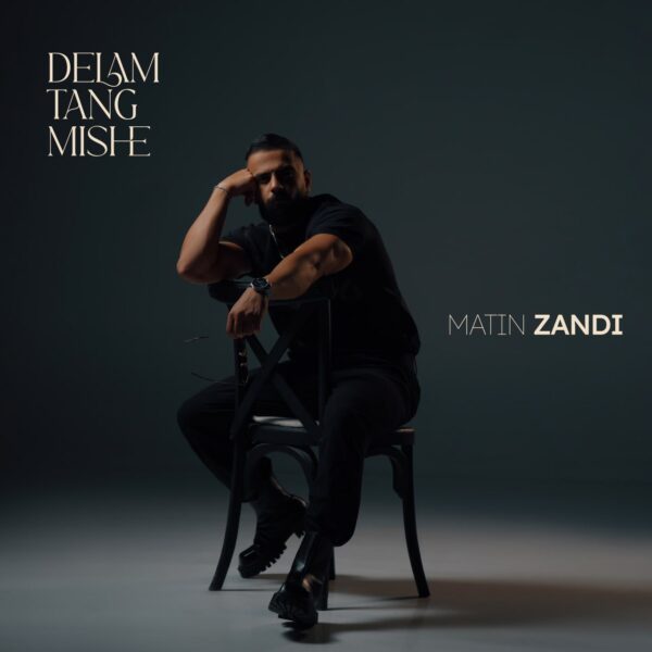 کاور آهنگ دلم تنگ میشه از متین زندی