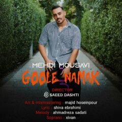 کاور گوله نمک از مهدی موسوی