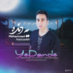 کاور یه دنده از محمد نبی زاده