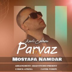 کاور پرواز از مصطفی نامدار